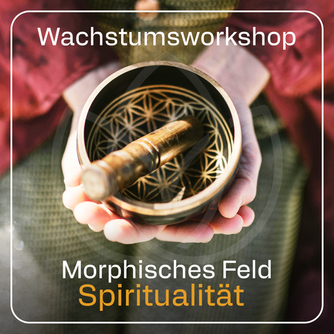 Wachstumsworkshop "Morphisches Feld: Spiritualität"