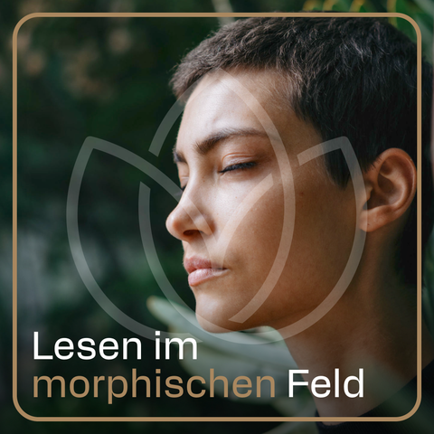 Basiskurs Lesen im morphischen Feld