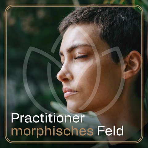 Lesen im Morphischen Feld – Practitioner