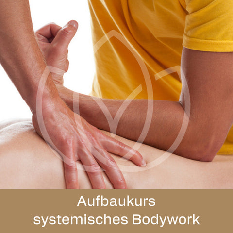 Holistic Bodywork 2 | Systemische Körperarbeit